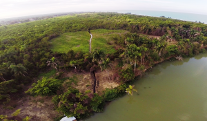 En la Boca de Yasica, estan destruyendo humedales y manglares
